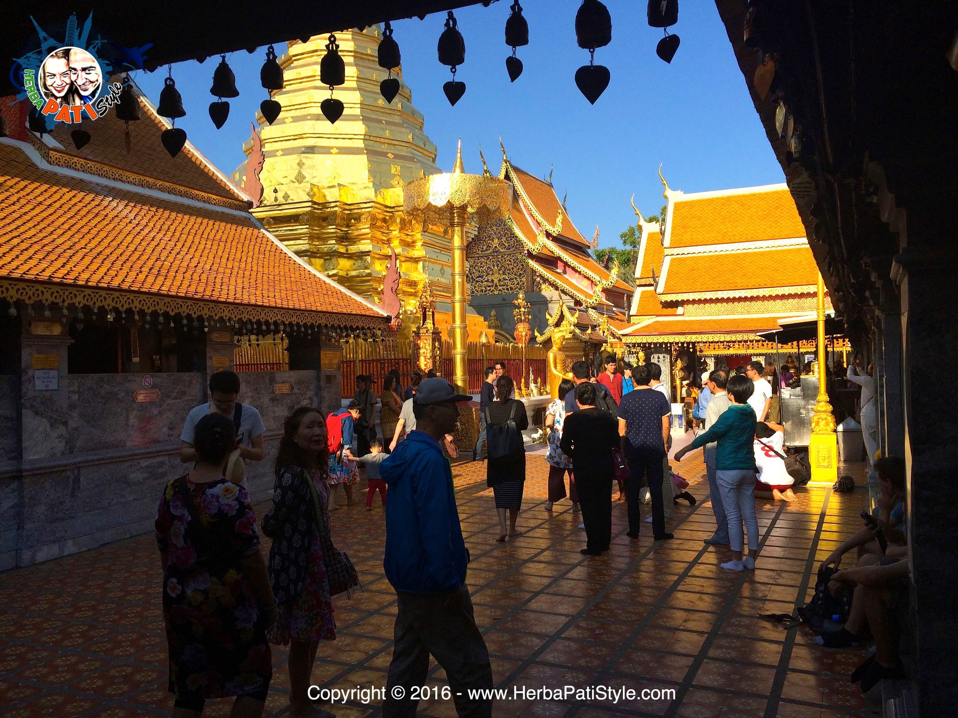 IMG_7225-watermark