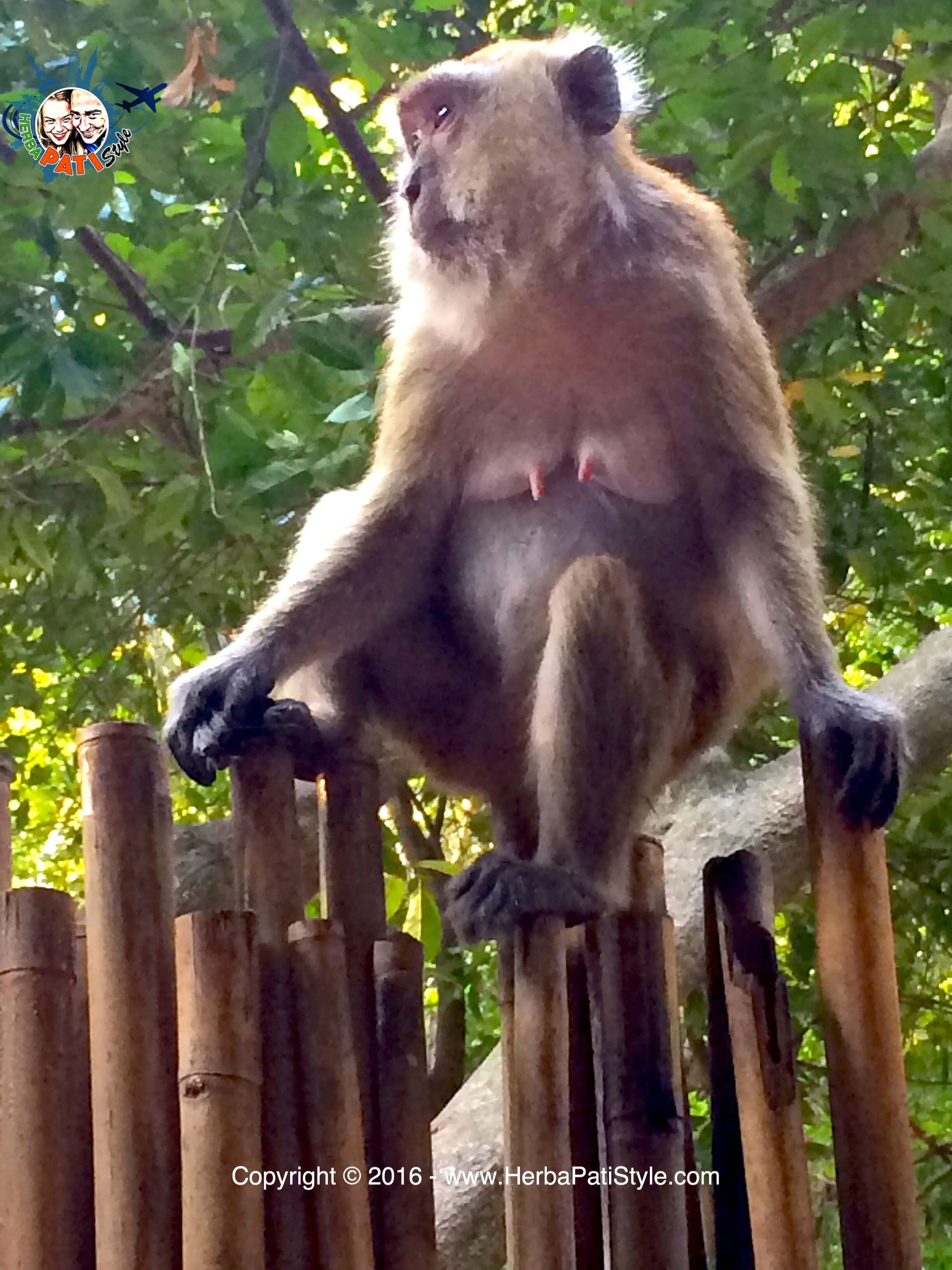 Railay