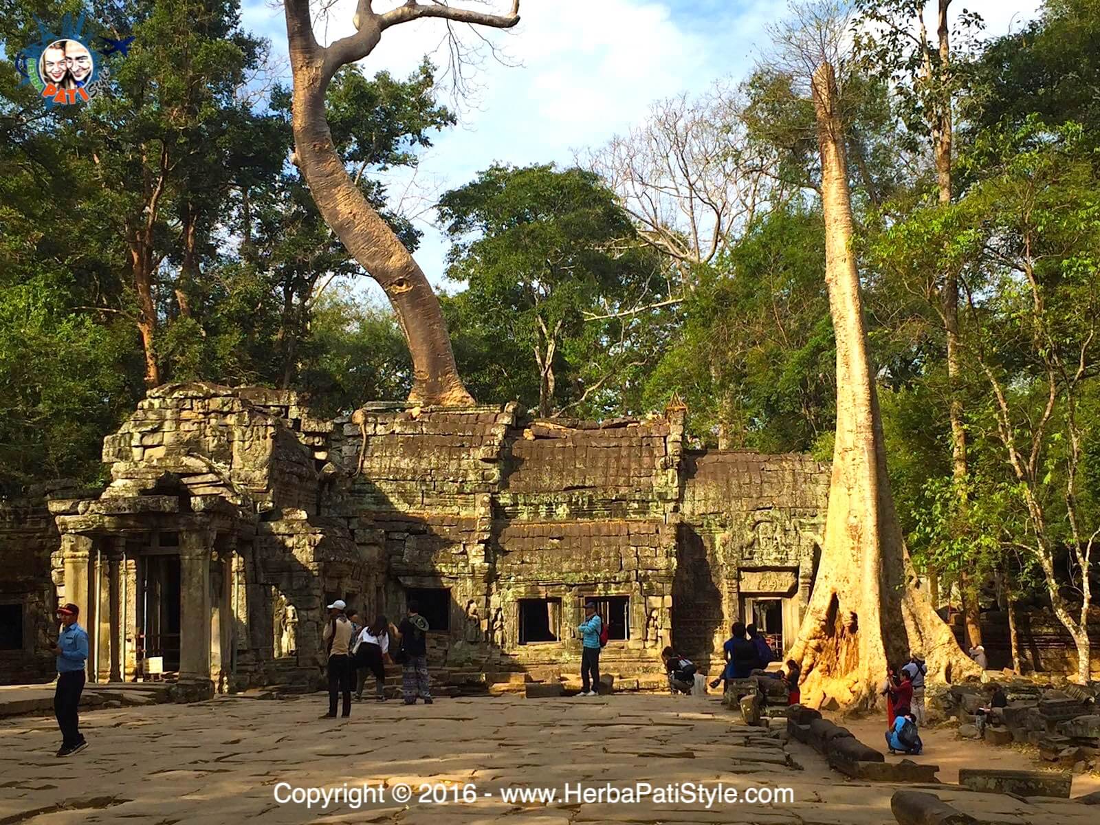 Ta Prohm