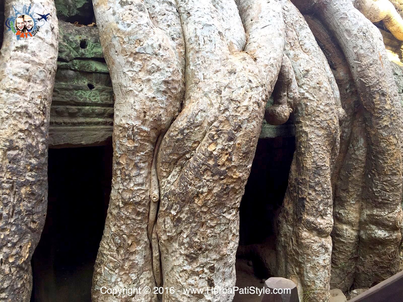 Ta Prohm