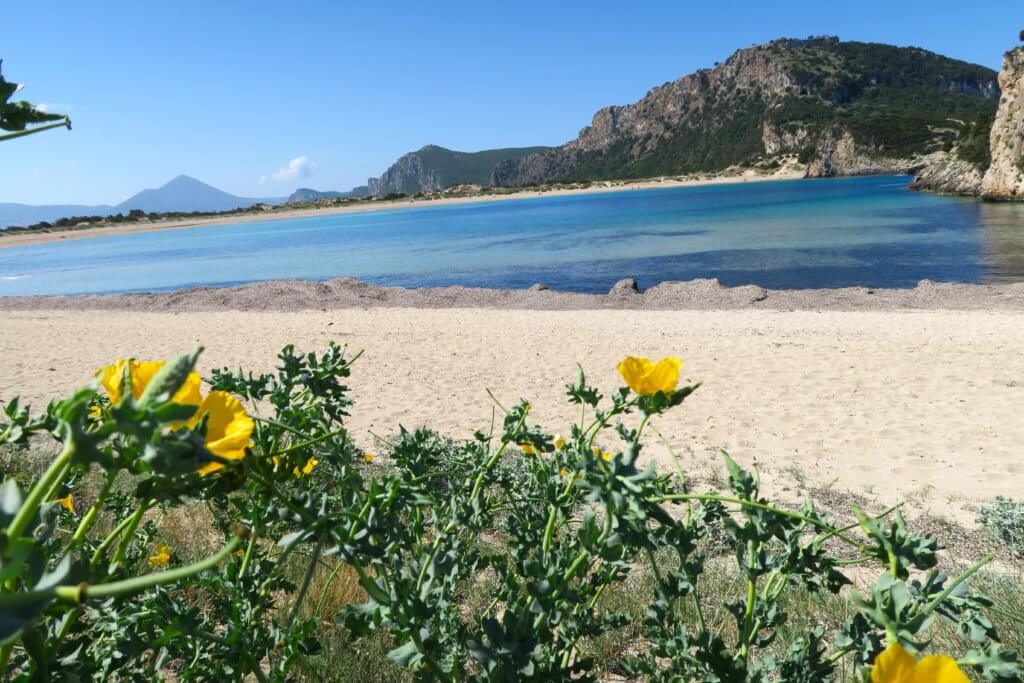 Grecia on the road