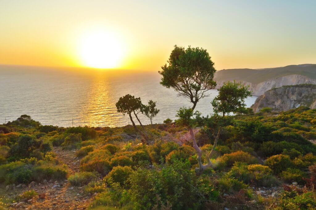 Grecia on the road