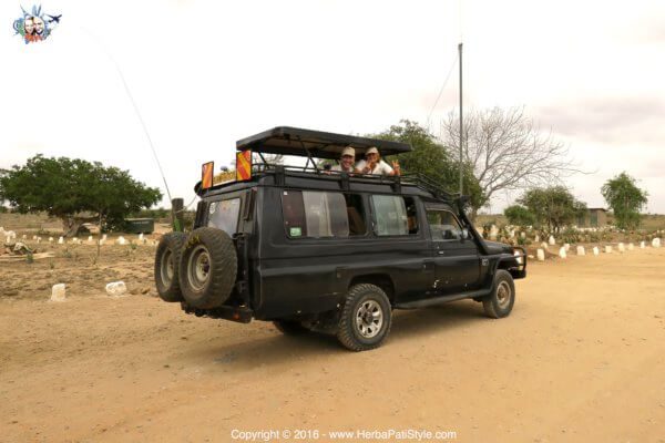 Safari allo Tsavo