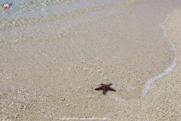 escursioni a zanzibar