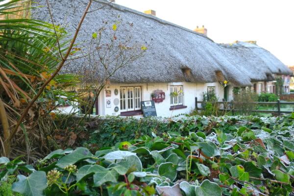 Fitzgeralds Woodlands House