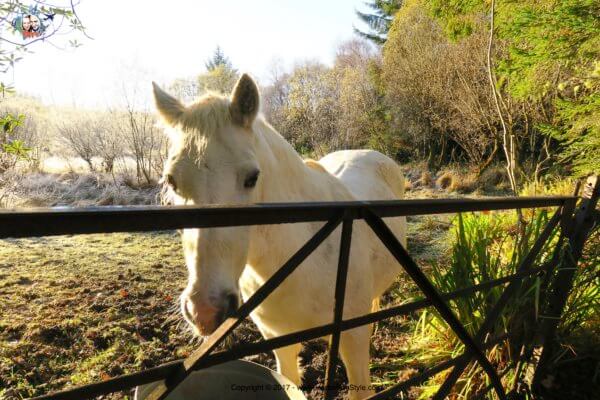 Dormire in un castello in Irlanda