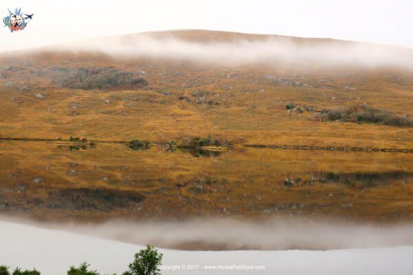 Parco Nazionale di Glenveagh
