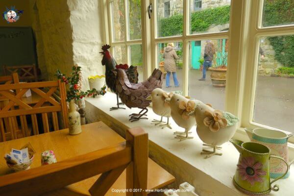 Parco Nazionale di Glenveagh