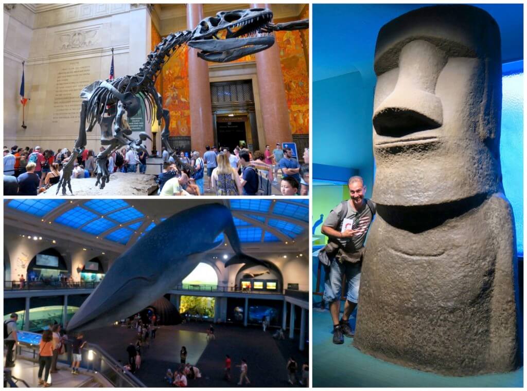 Risparmiare a New York con la CityPASS: American Museum of Natural History