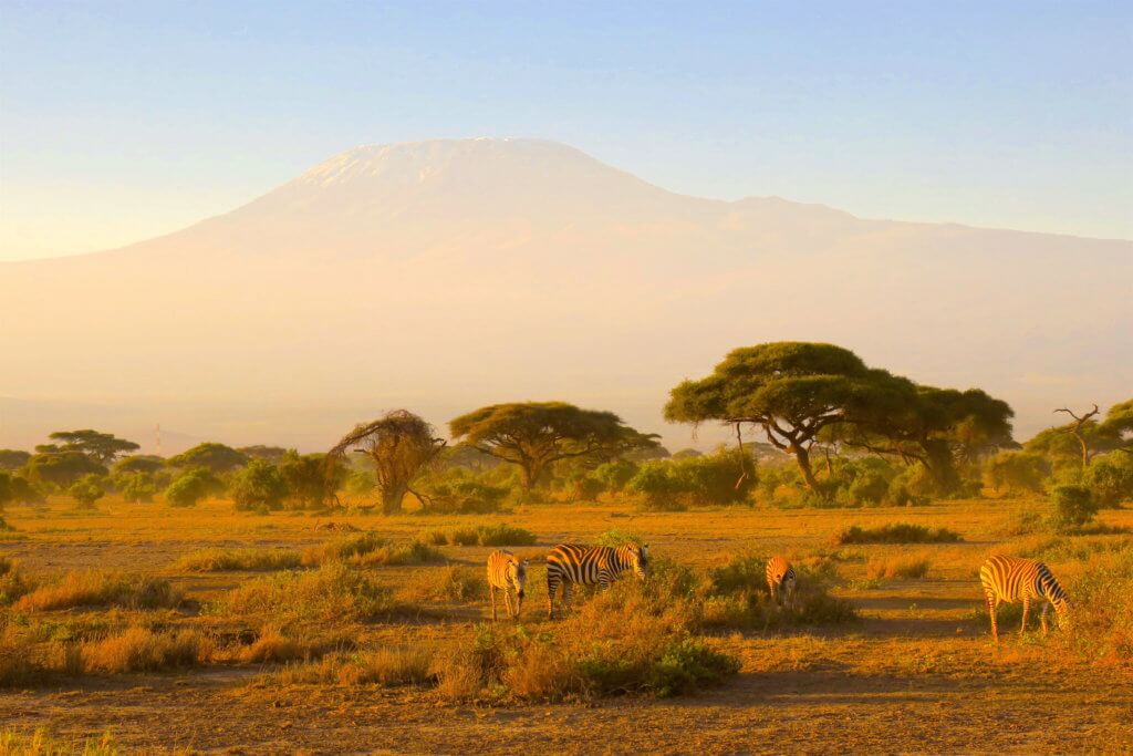 Alba nel mondo - Kenya