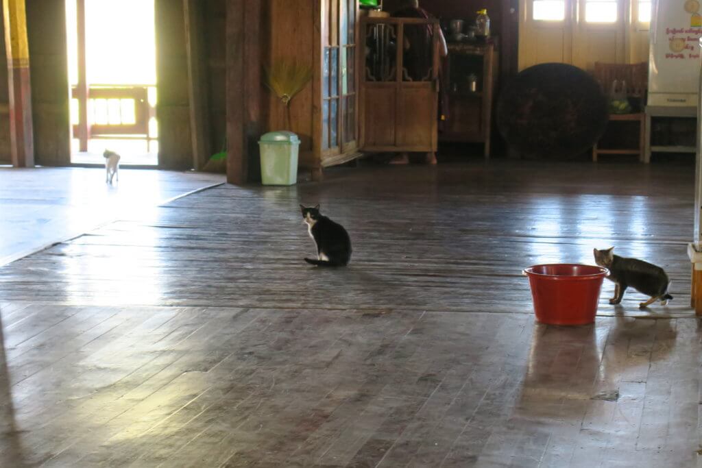 Cosa vedere al Lago Inle