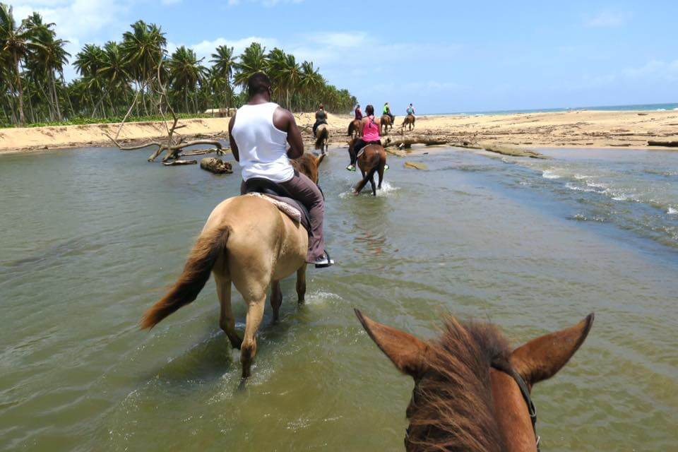 cavallo in repubblica dominicana