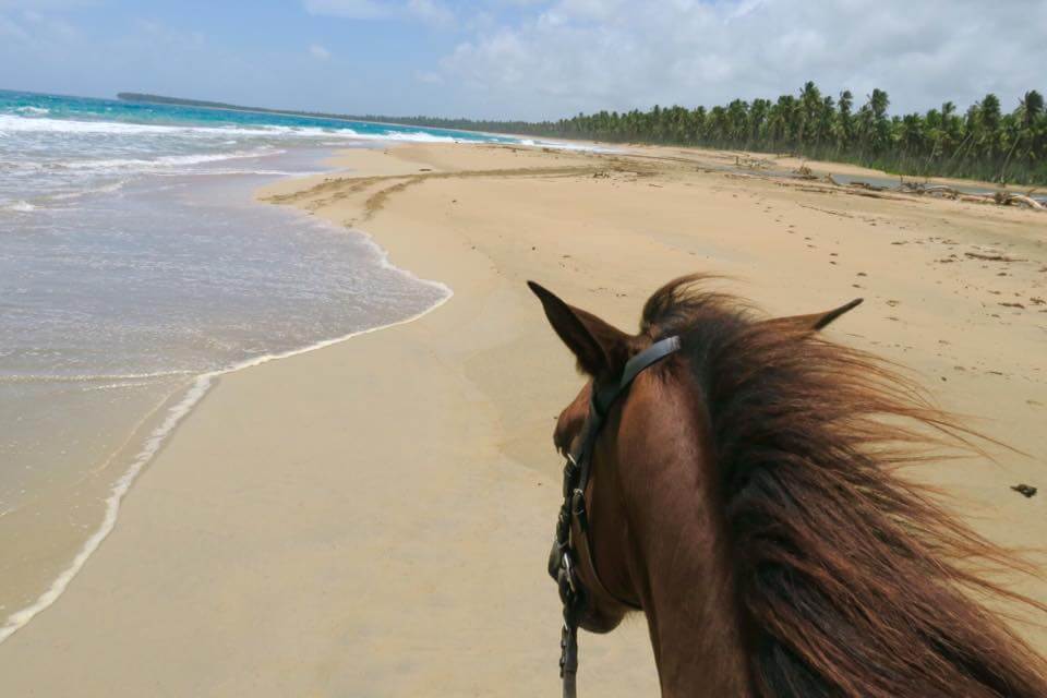 cavallo in repubblica dominicana