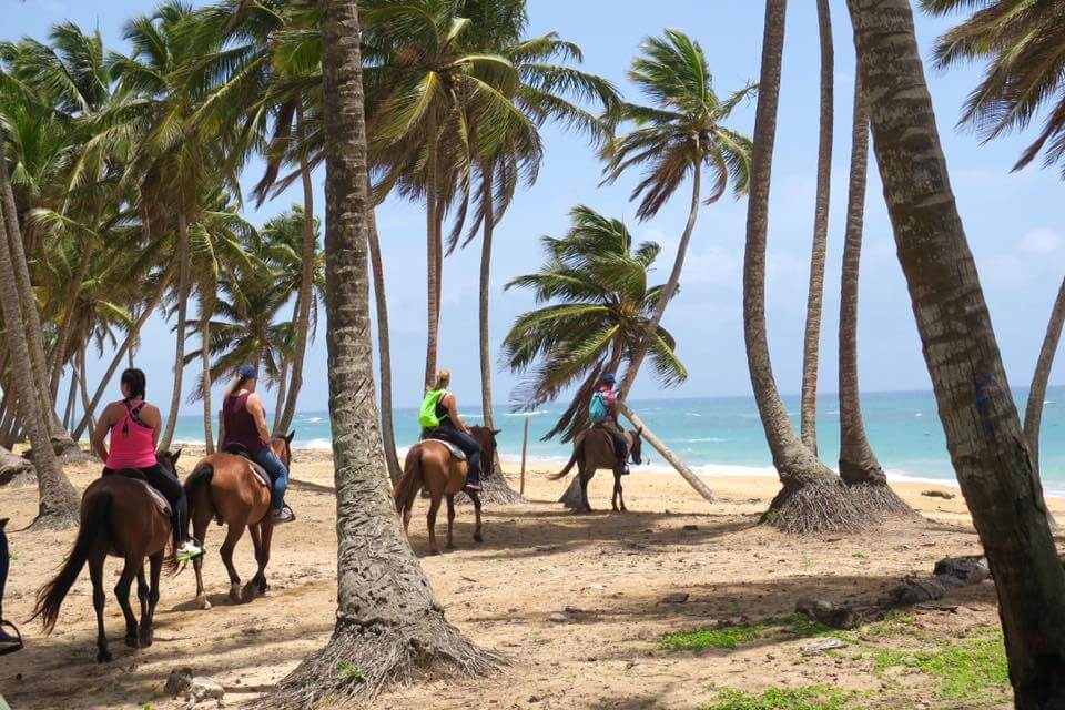 cavallo in repubblica dominicana