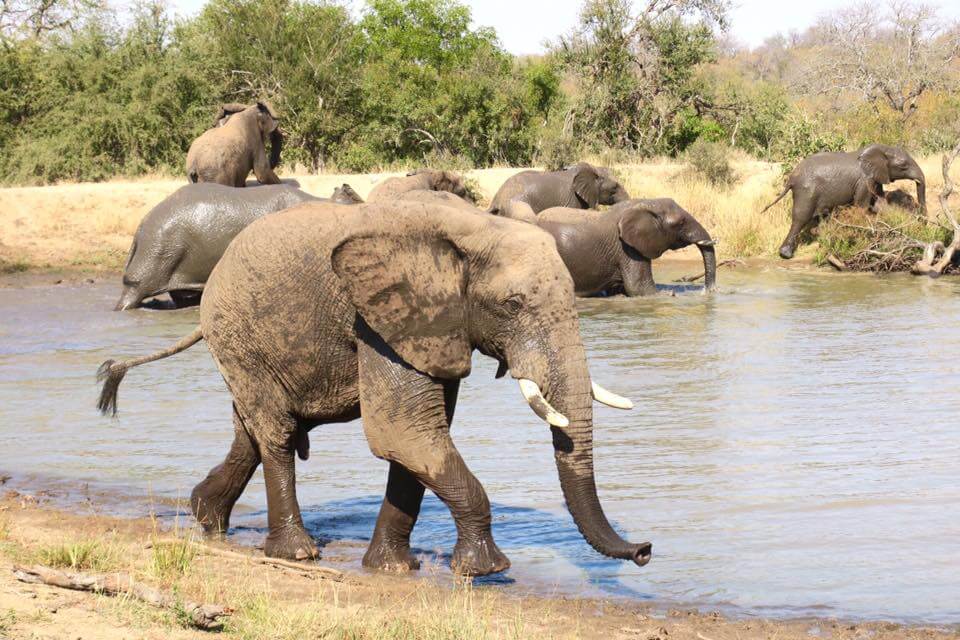 Il Lodge più bello del SudAfrica