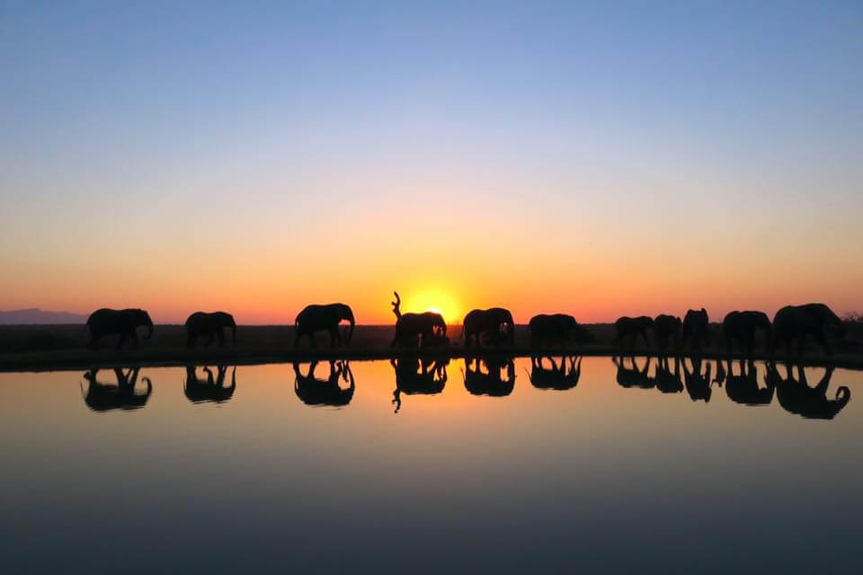 Il Lodge più bello del SudAfrica