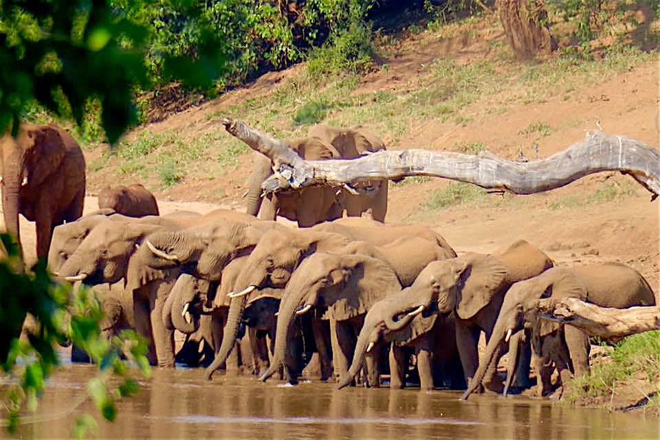 Lodge nel Nord del Kruger: il RETURNAfrica Pafuri Camp