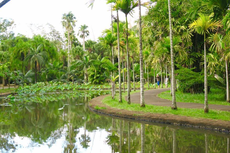 7 cose da vedere a Mauritius