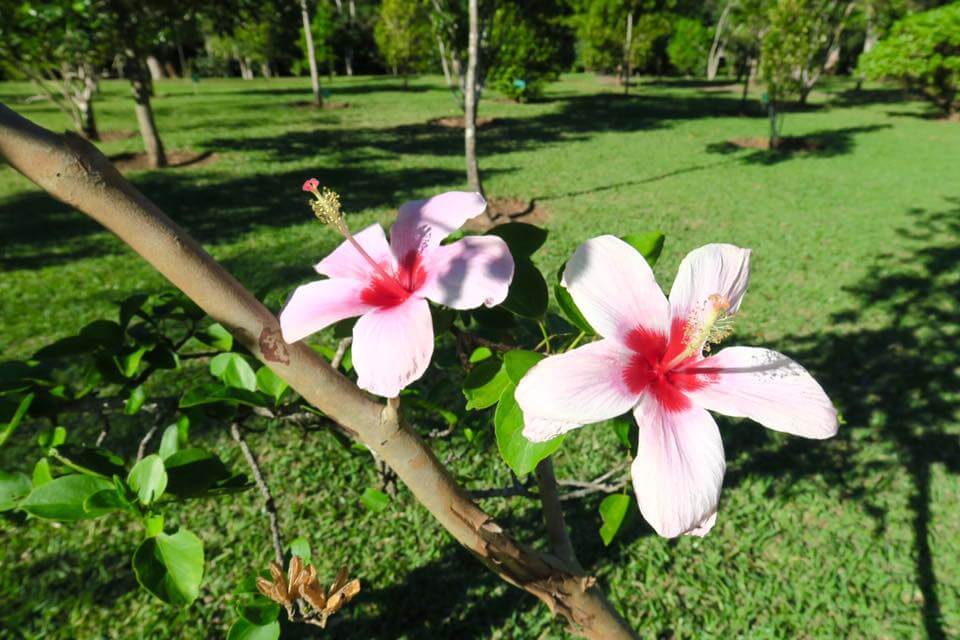 7 cose da vedere a Mauritius