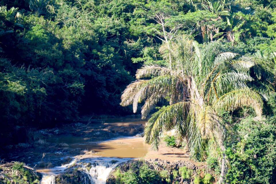 7 cose da vedere a Mauritius