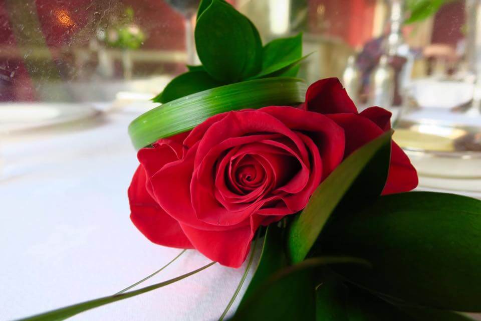 Dormire in un castello in Scozia - Glenapp Castle