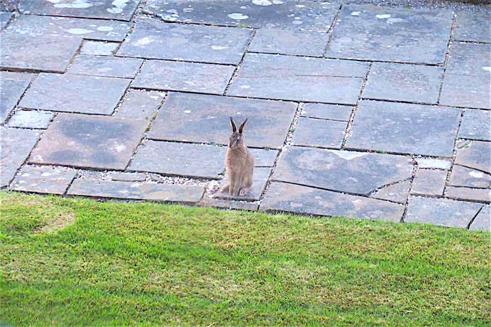 Dormire in un castello in Scozia - Glenapp Castle