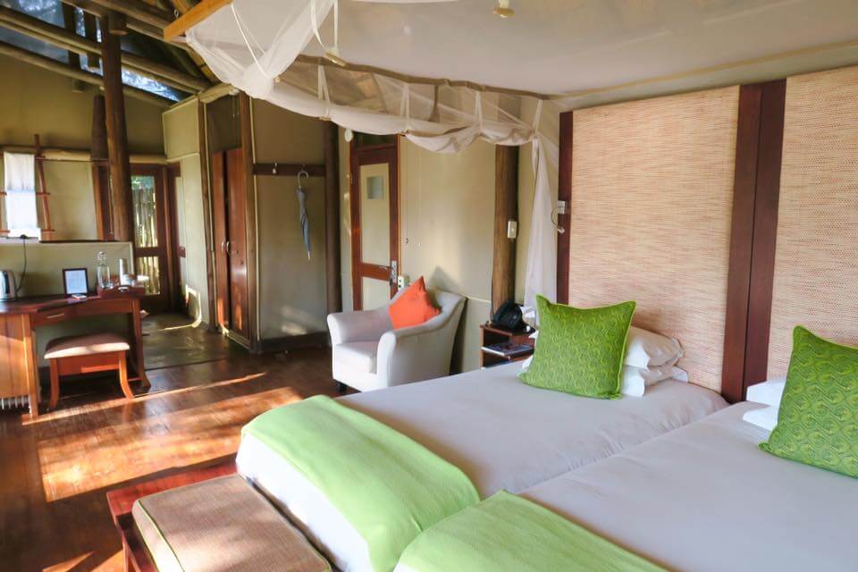 Dormire nel Kruger National Park - Rhino Post Safari Lodge