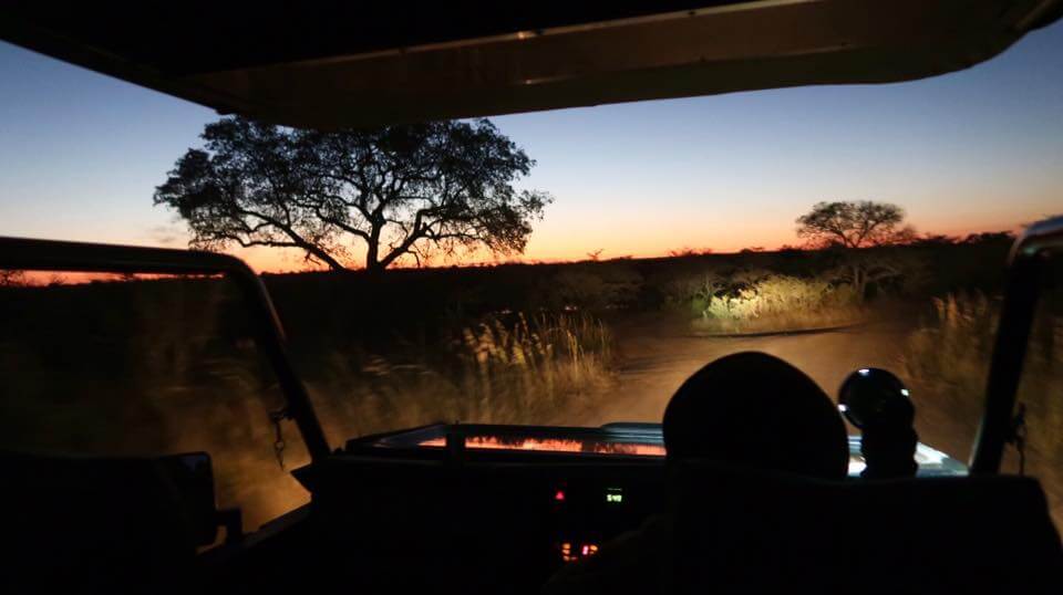 Dormire nel Kruger National Park - Rhino Post Safari Lodge