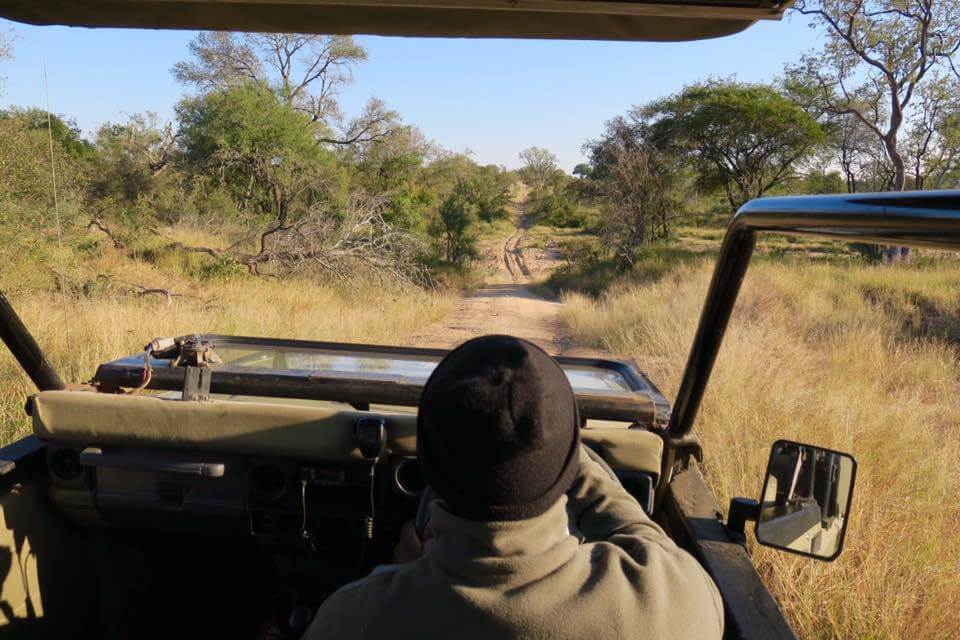 Dormire nel Kruger National Park - Rhino Post Safari Lodge