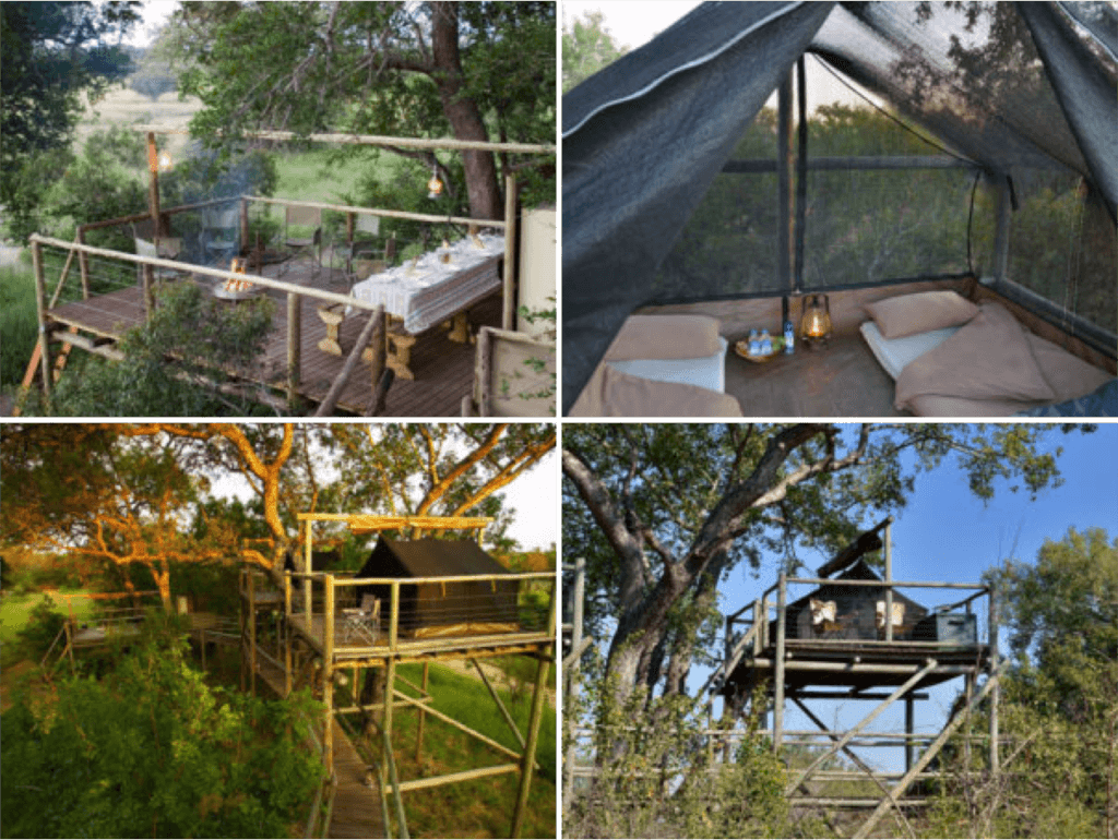 Dormire nel Kruger National Park - Plains Camp - Sleepouts