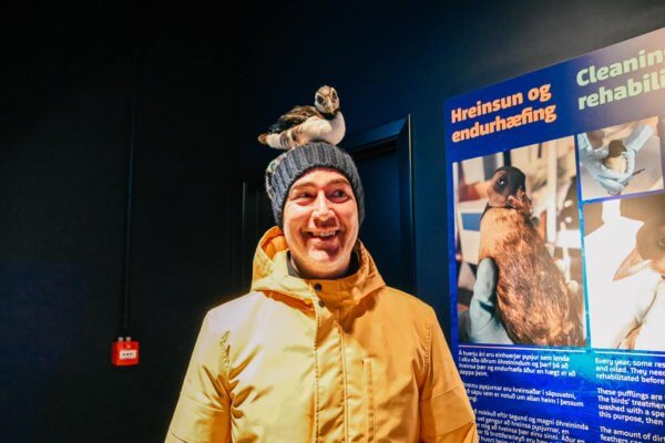 Alla scoperta delle isole Vestmannaeyjar