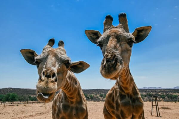 alloggio insolito in Namibia