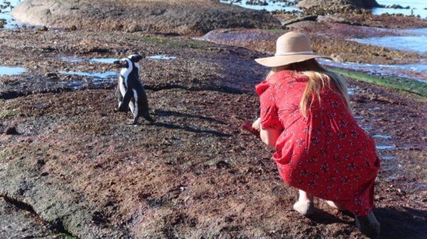 viaggio romantico a Cape town