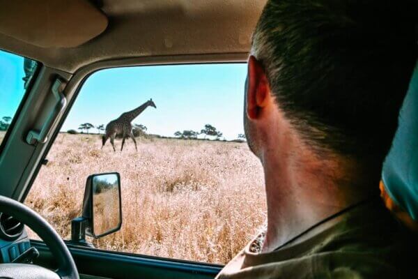 safari botswana