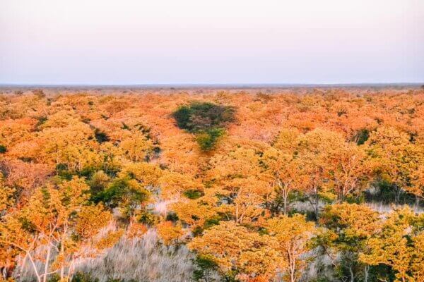 botswana