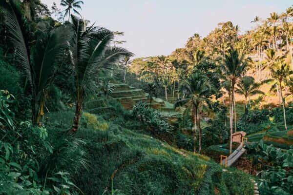 CASCATA BALI