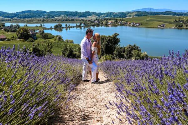 Vedere la Lavanda in Slovenia