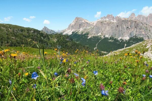 dolomiti