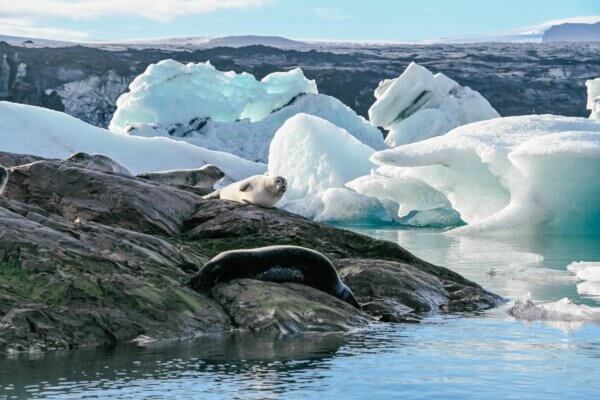 Laguna Ghiacciata di Jokulsarlon