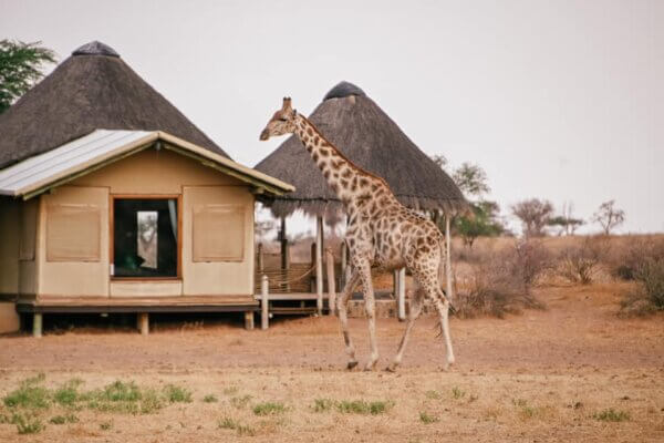 Dormire nel Kalahari Desert