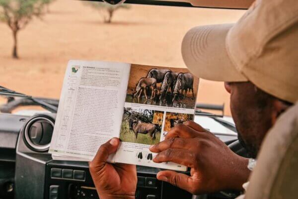 safari nel Kalahari Desert