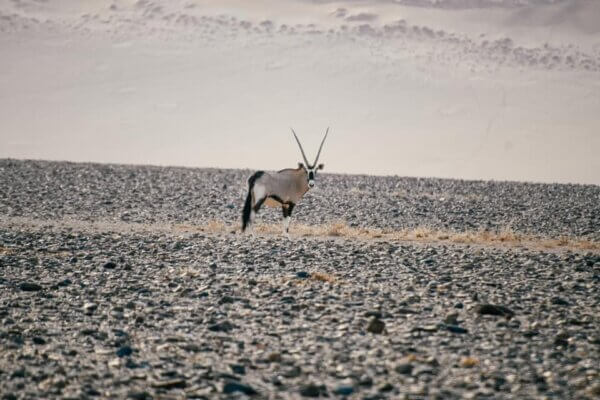 namibia