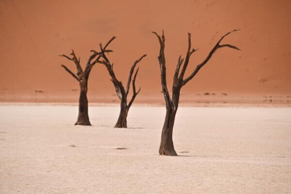 africa