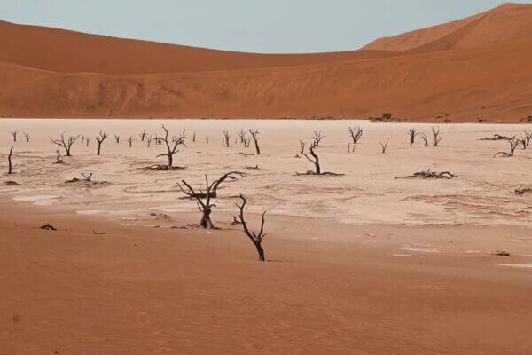 africa