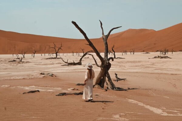 namib