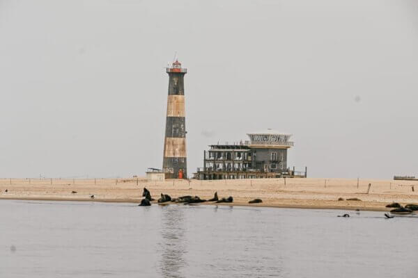 Tour in barca alla Walvis Bay