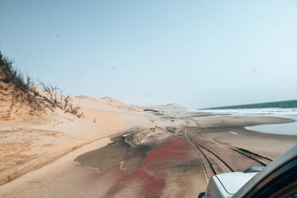 Escursione alla Sandwich Harbour