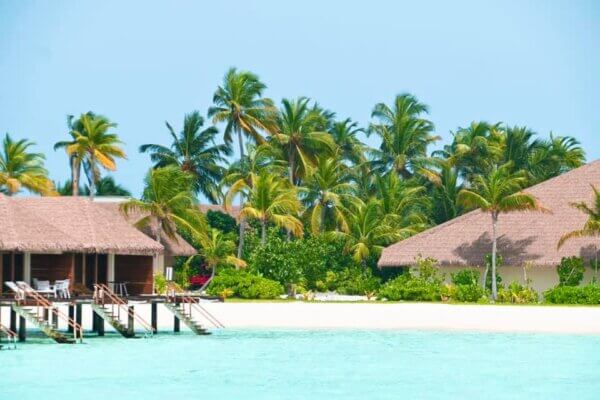 maldive