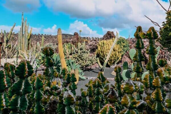 lanzarote