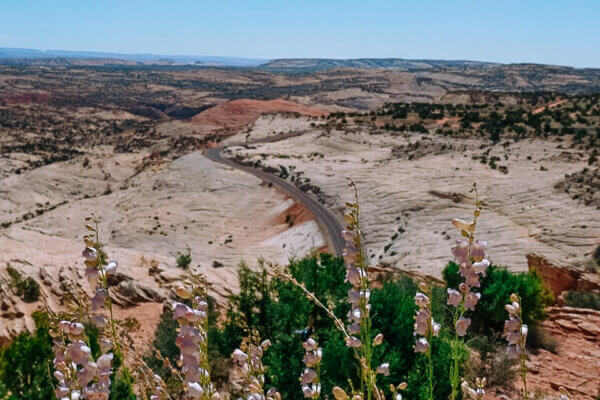  Scenic Byway 12 e 24